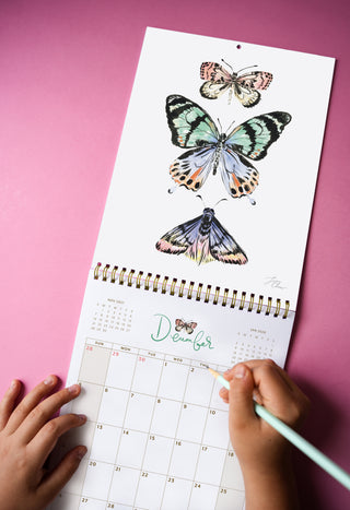 2027 Butterfly Wall Calendar (Nabi) by Jean Choe Art & Design