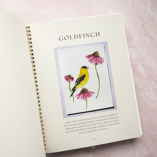 Birds Watercolor Workbook by Jean Choe Art & Design