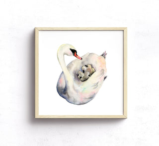 A Cozy Ride Swan Family Watercolor Art Print from Jean Choe Art & Design - Watercolor