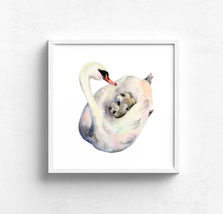 A Cozy Ride Swan Family Watercolor Art Print from Jean Choe Art & Design - Watercolor