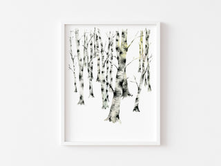 "Birch Forest 5" Art Print: Winter Birch Trees from Jean Choe Art & Design - Giclée