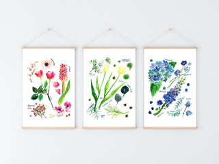 Blue Botanical Rainbow Art Print: Hydrangea Decor from Jean Choe Art & Design - Giclée