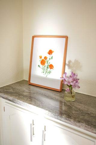 California Poppies (Original) with Cherry Wood Frame from Jean Choe Art & Design - Watercolor