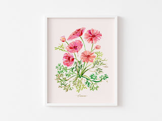 Cosmos Watercolor Art Print: Wildflower Botanical Wall Decor from Jean Choe Art & Design - Giclée