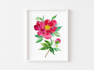 Deep Magenta Peony Art Print – Botanical Floral Wall Art from Jean Choe Art & Design - Giclée