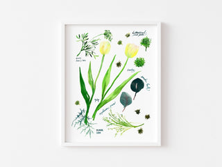 Green Botanical Rainbow Art Print: Flower Wall Art from Jean Choe Art & Design - Giclée