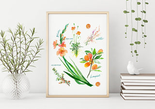 Orange Botanical Rainbow Art Print: Flower Watercolor from Jean Choe Art & Design - Giclée