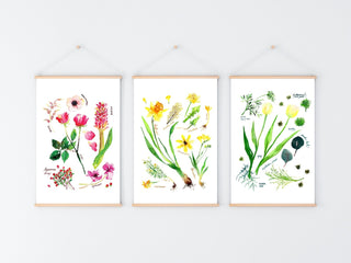 Red & Pink Botanical Rainbow Art Print: Floral Watercolor Decor from Jean Choe Art & Design - Giclée