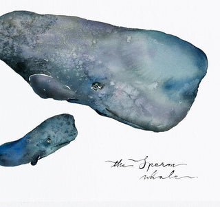Sperm Whale and Baby Watercolor Art Print: "Mommy, I'm Here" from Jean Choe Art & Design - Watercolor