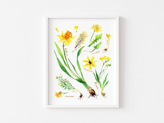 Yellow Botanical Rainbow Art Print: Botanical Decor from Jean Choe Art & Design - Giclée